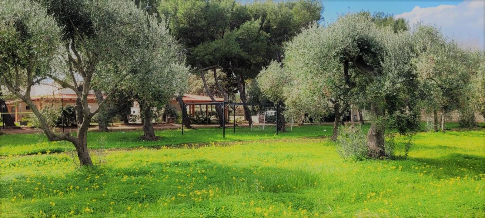 Villa Laura Бари Экстерьер фото